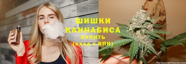 твердый Богородск