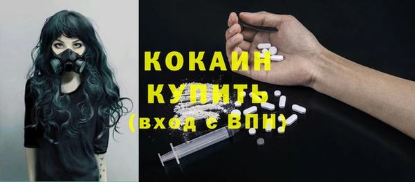 твердый Богородск