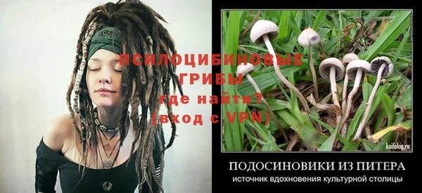 Альфа ПВП Богданович