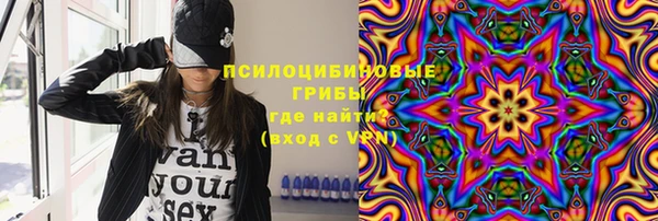 твердый Богородск