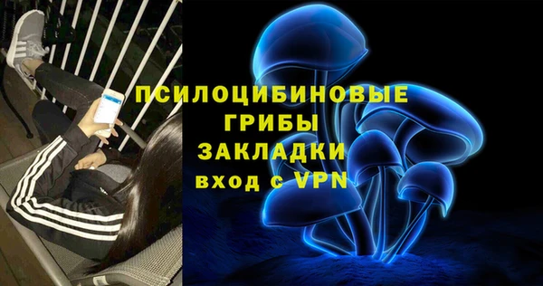 твердый Богородск