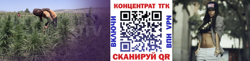 Купить закладки  Ершов  Дистиллят ТГК гашишное масло 