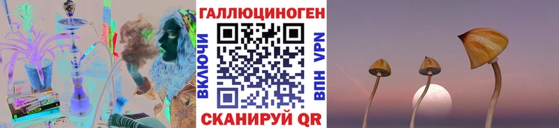 Купить  Ершов  Галлюциногенные грибы GOLDEN TEACHER 