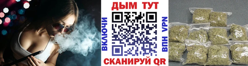 Купить где  Ершов  Конопля семена 